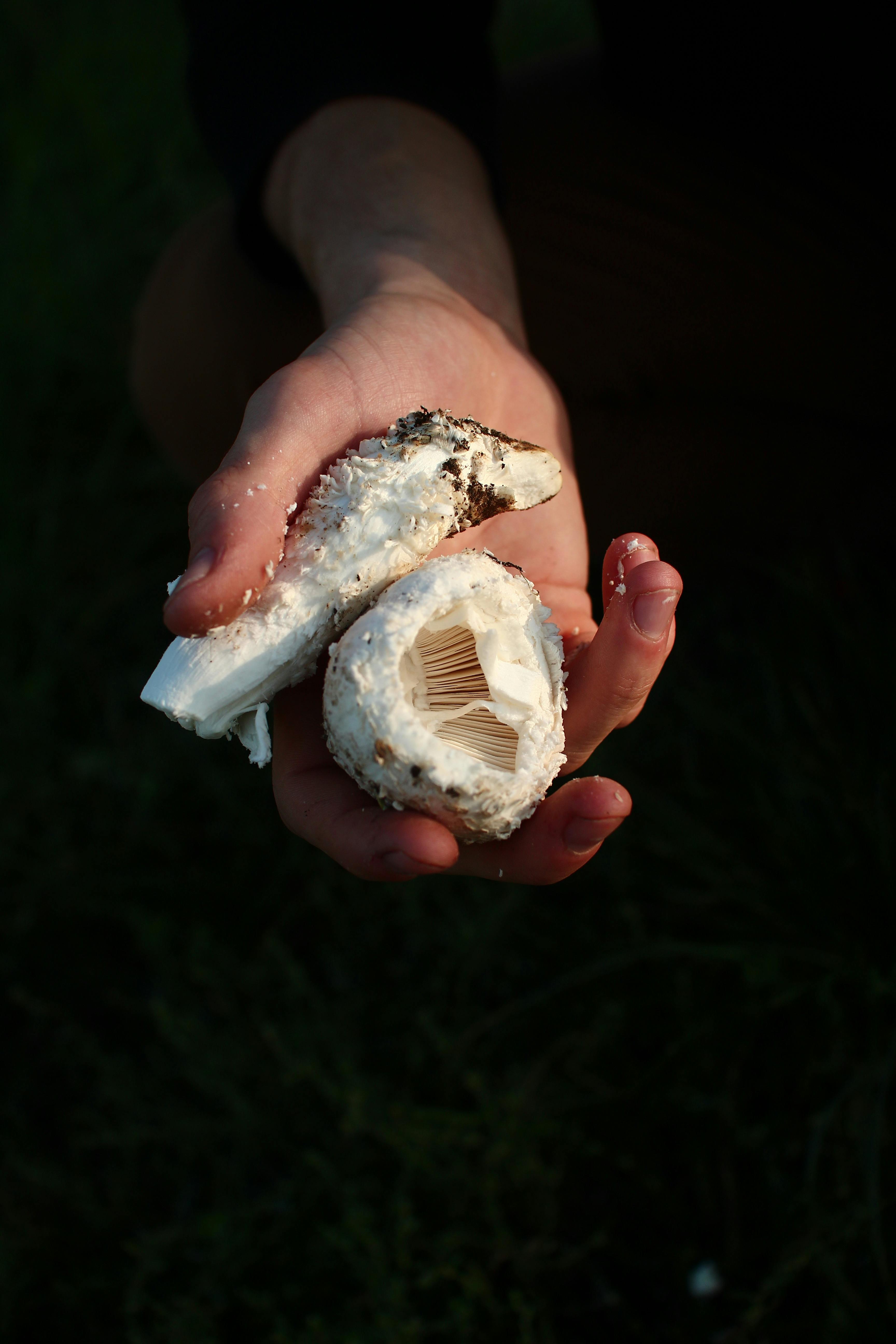 How to Make Chicharrones: Ultimate Guide for 2025