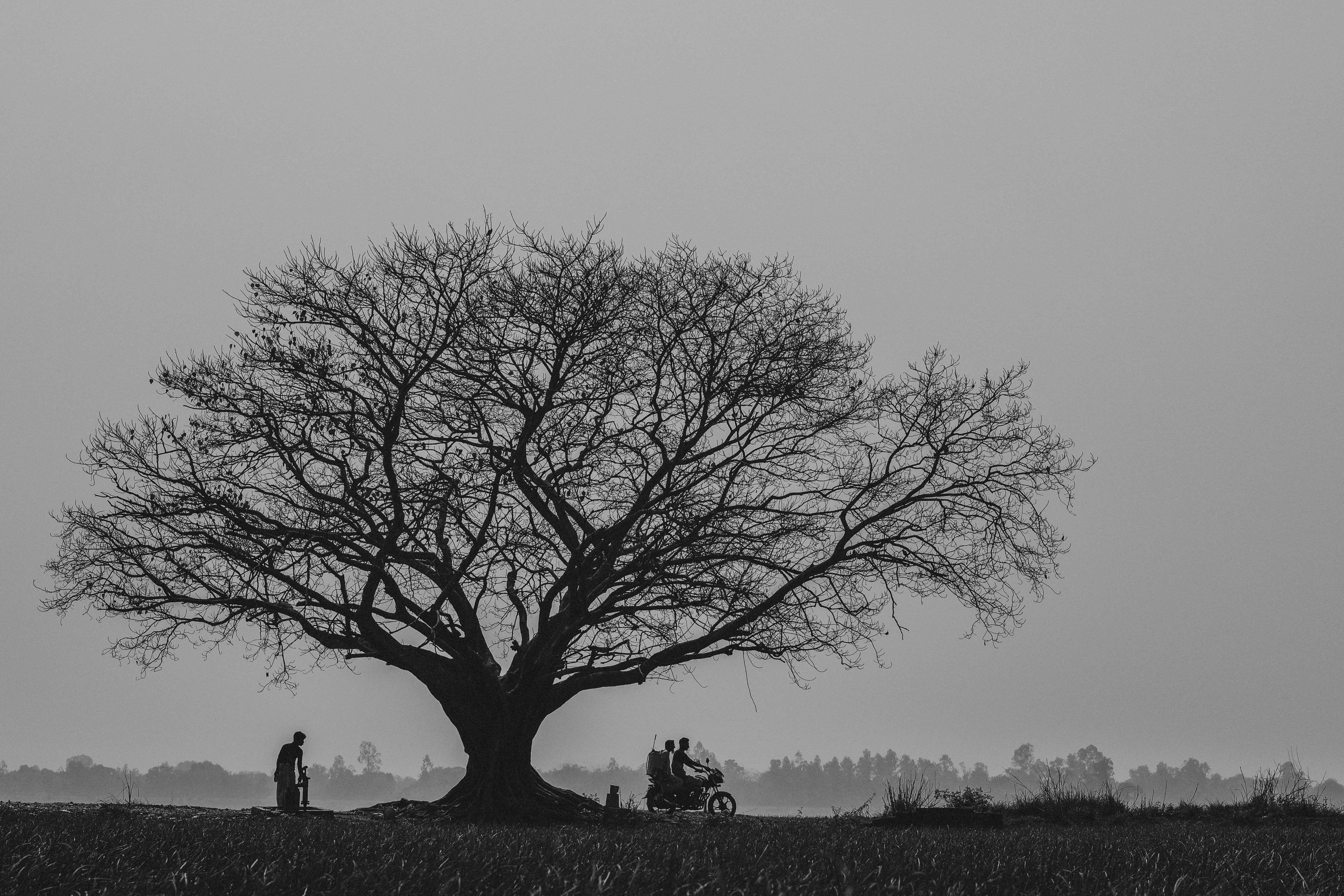Smart Guide to Choosing the Best Social Worker Career Path in 2025