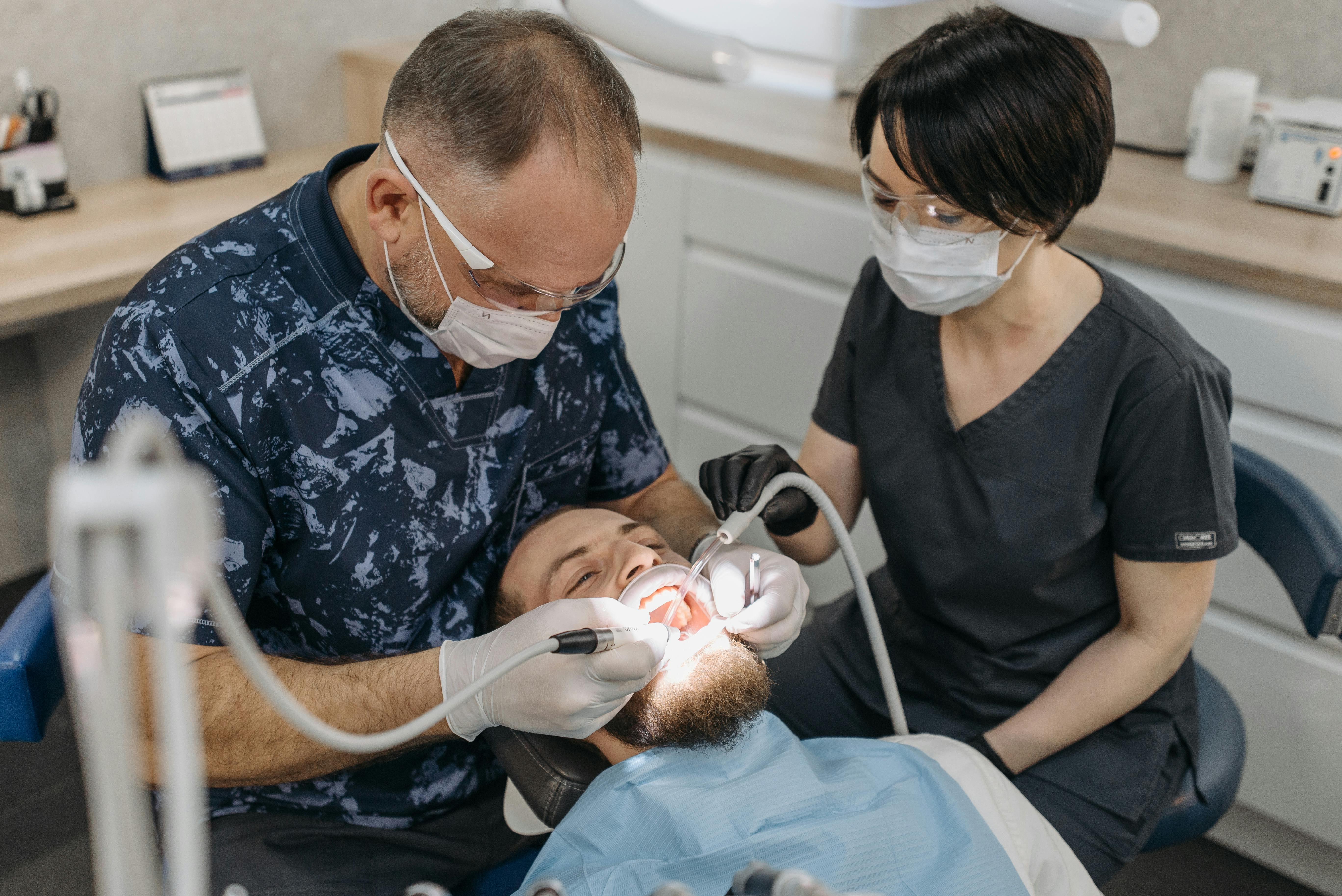 How to Effectively Treat Tapeworms in Cats at Home in 2025