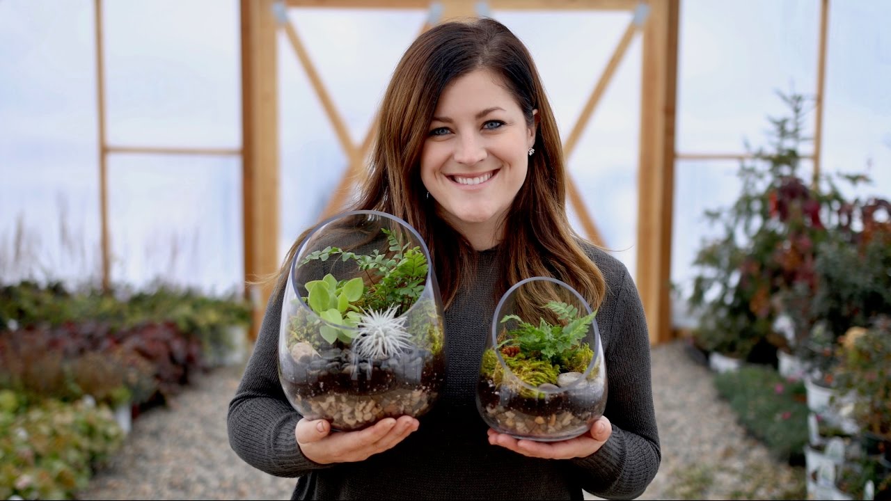 How to Make a Terrarium