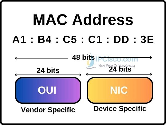 Finding MAC address