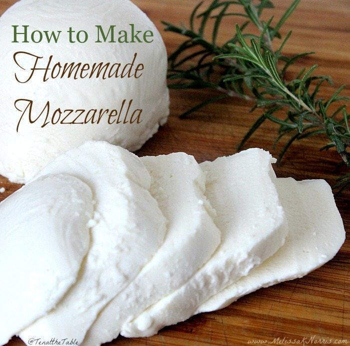 Fresh Mozzarella Cheese